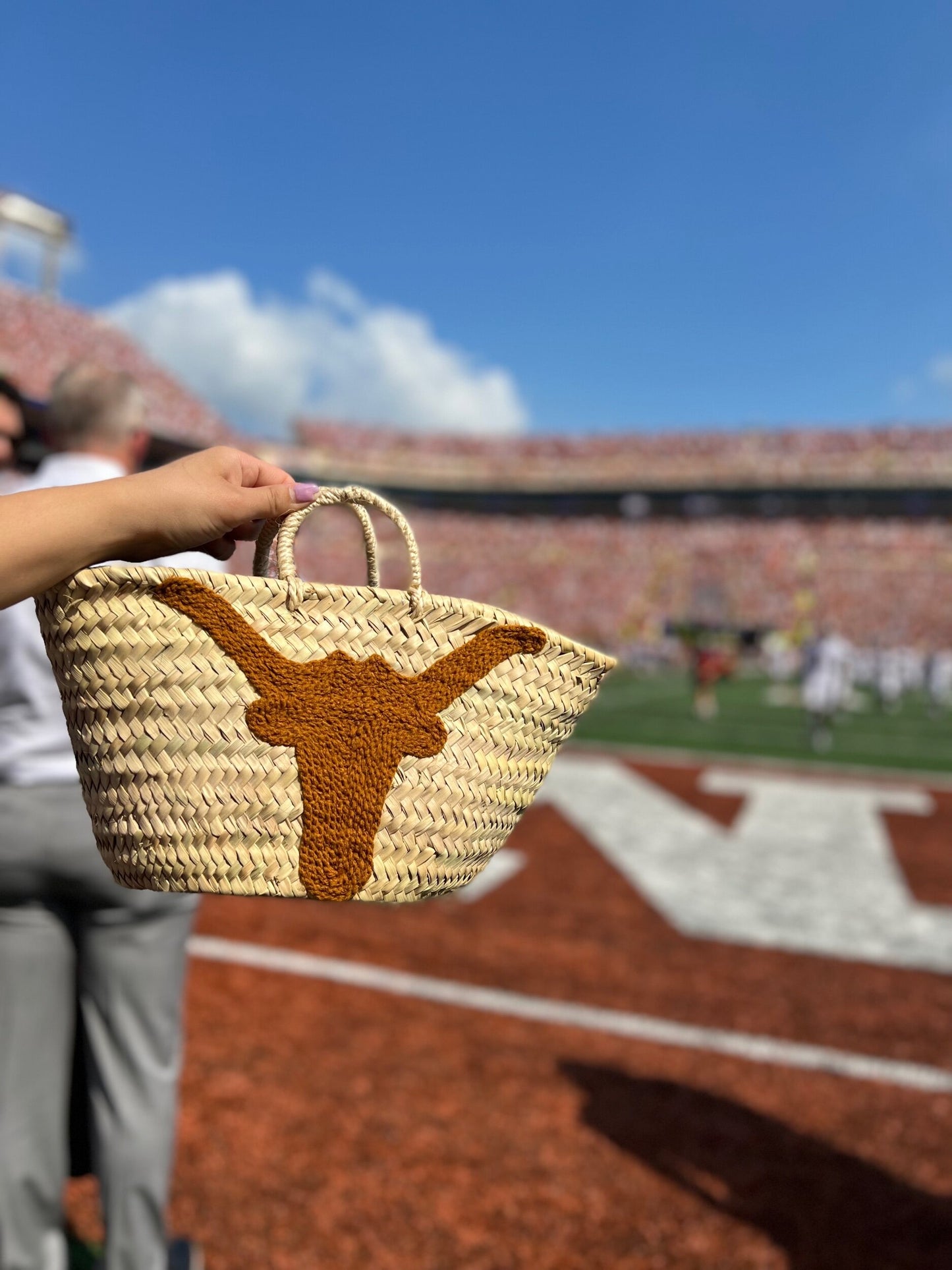 Longhorn Mini Bag