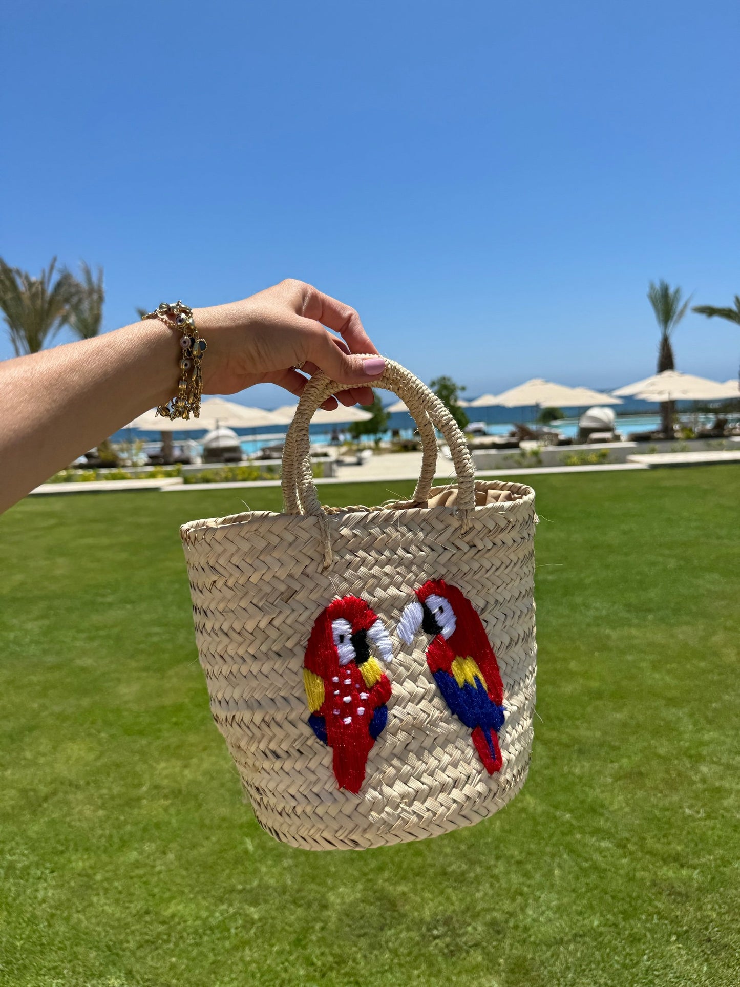 Parrot Bag