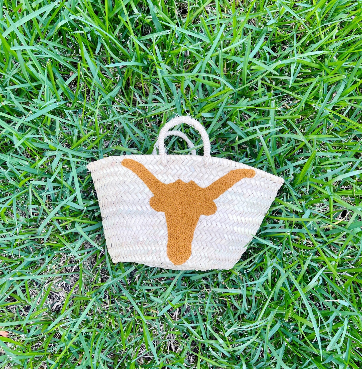 Longhorn Mini Bag