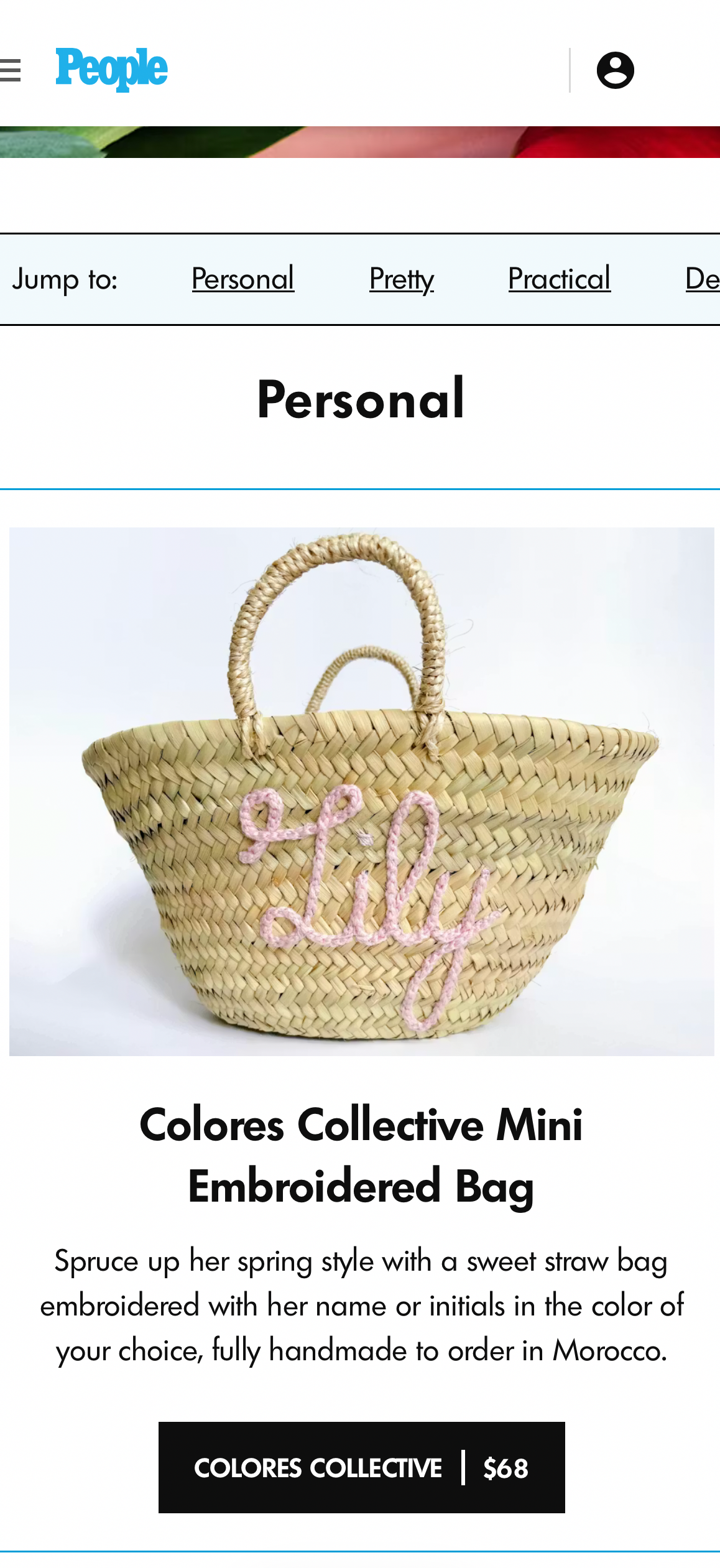 Mini Embroidered Bag