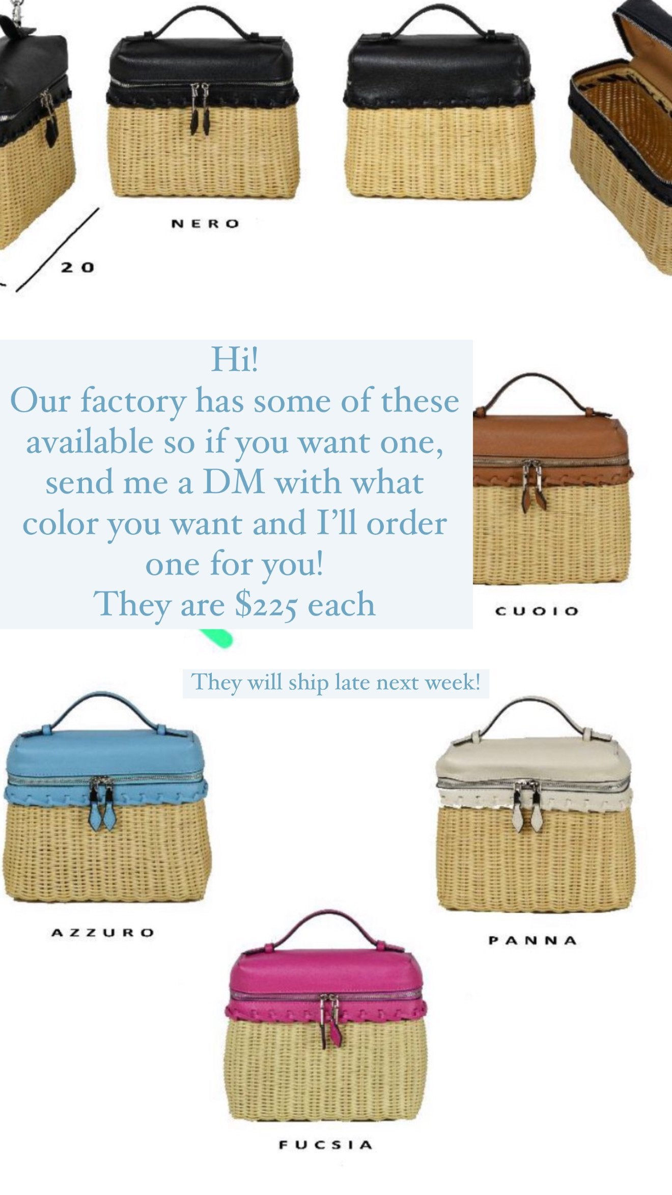Mini Loro Wicker Tote