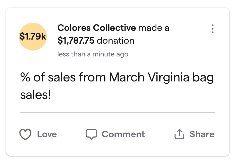 The Virginia Bag